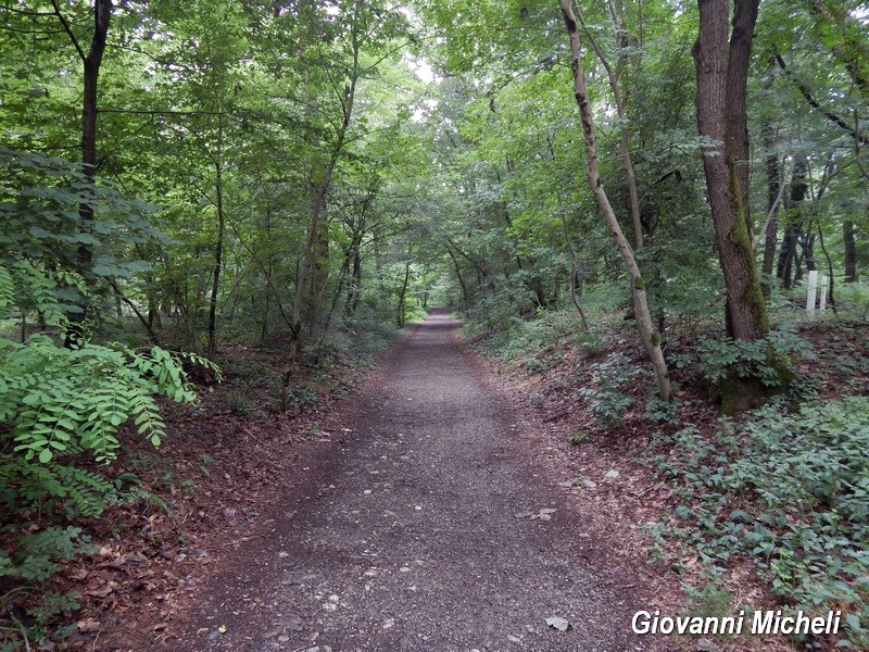 Parco del Ticino 13.6.15